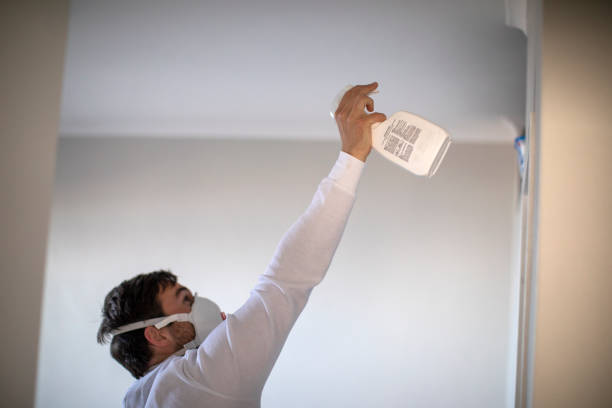 Best Mold Testing and Removal  in Moody, TX